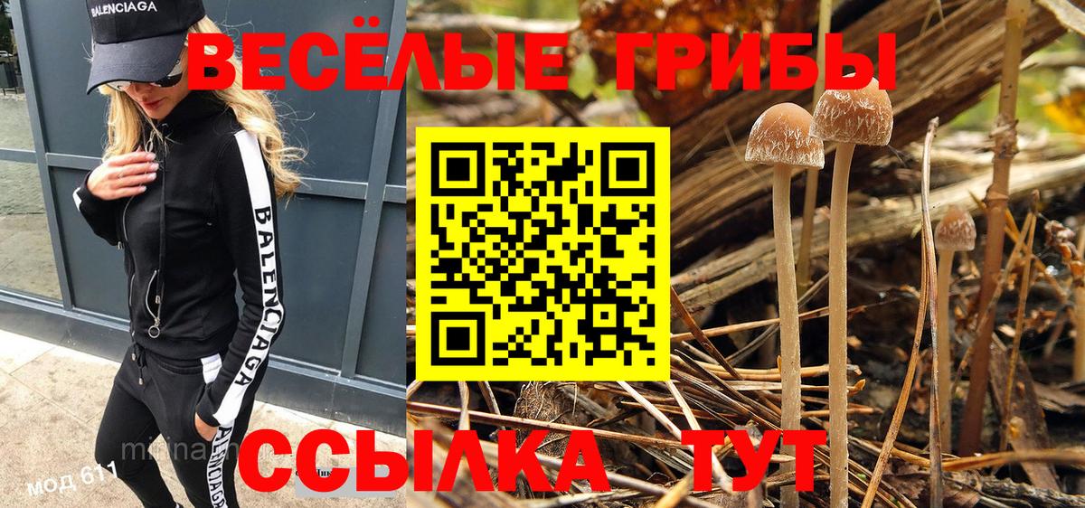 Псилоцибиновые грибы MAGIC MUSHROOMS Улан-Удэ