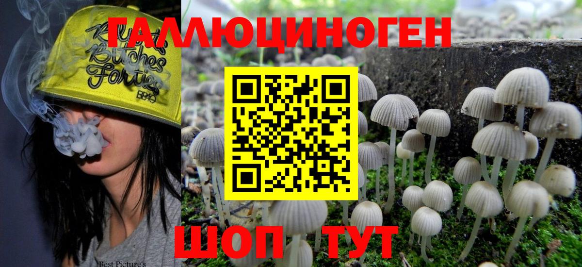 Псилоцибиновые грибы мицелий  Галлюциногенные грибы Magic Shrooms  Улан-Удэ  Вход с VPN 